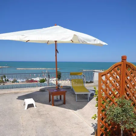 Golden Bay טרני